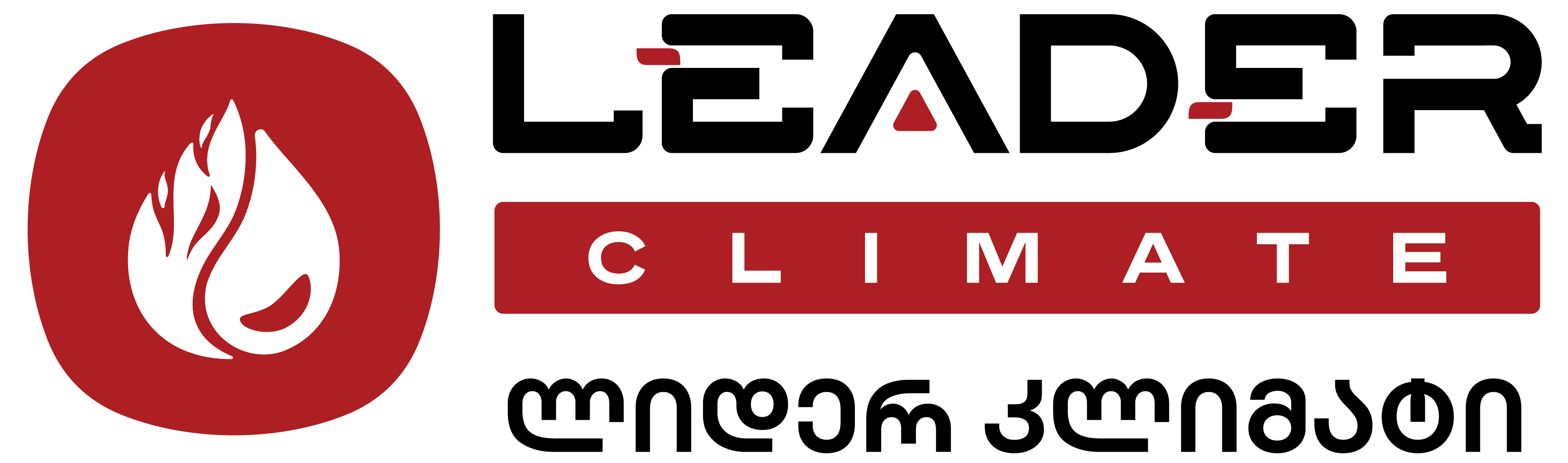Leader Climate - ჩვენს შესახებ